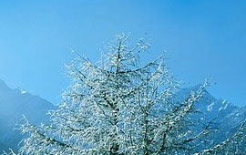 在线DDOS攻击平台